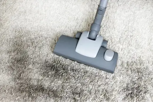 Carpet Cleaning in Rye